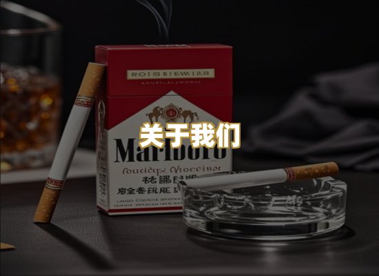 关于我们